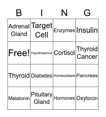 Endocrine System Bingo Card