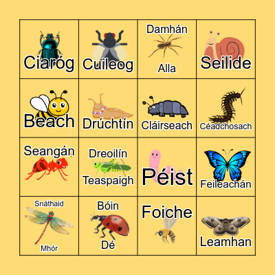 Mionbheithigh Bingo Card