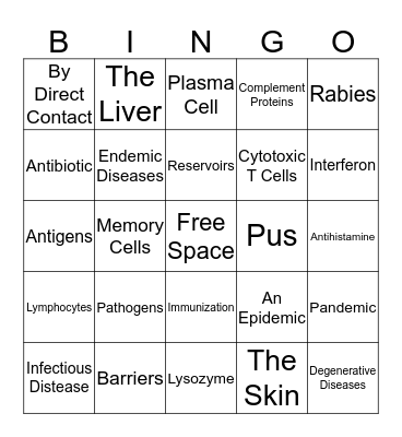 The Immune System  Bingo Card