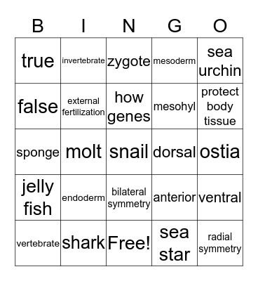 INTRODUCTION TO ANIMALS Bingo Card