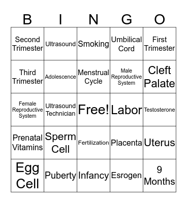 Human Reproduction & Development Bingo  Bingo Card