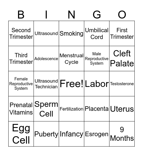Human Reproduction & Development Bingo  Bingo Card