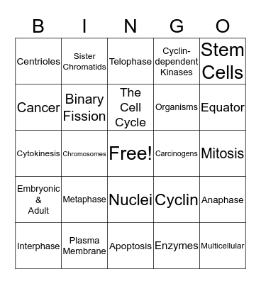 Cellular Reproduction Bingo Card