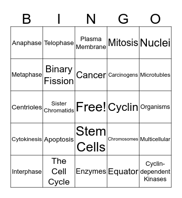 Cellular Reproduction Bingo Card