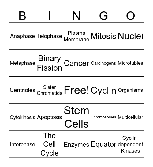 Cellular Reproduction Bingo Card