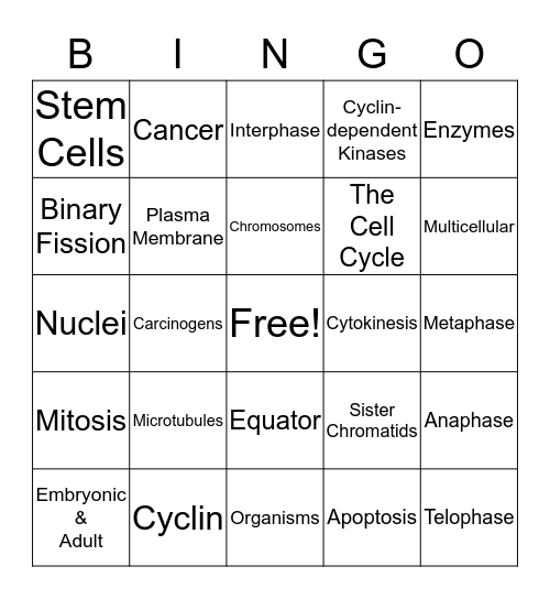 Cellular Reproduction Bingo Card