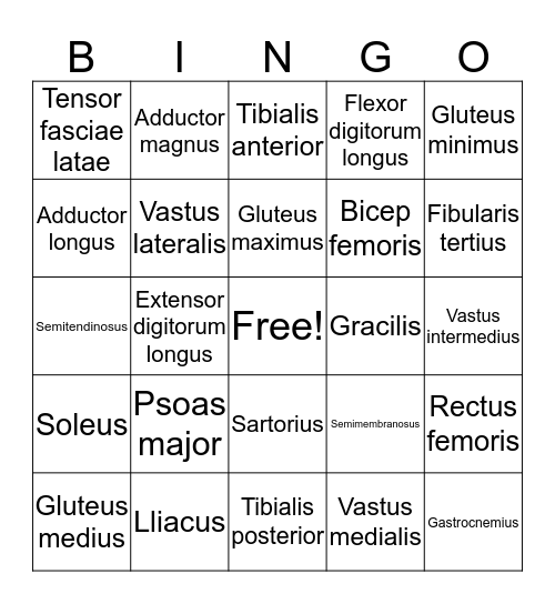 Musco Bingo Card