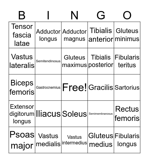 List #3 Bingo Card