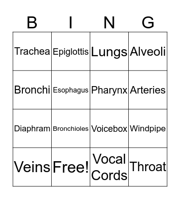 The Respiratory System Bingo Card