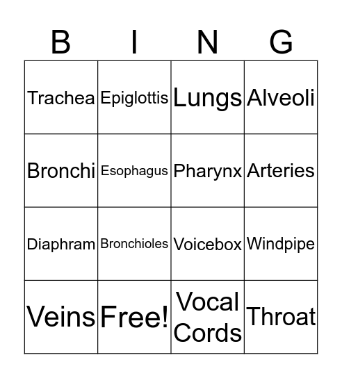 The Respiratory System Bingo Card