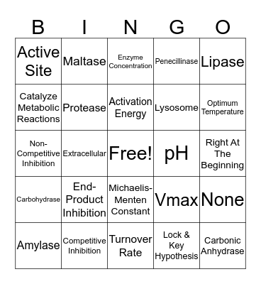 Biology Bingo Chapter 3 Bingo Card