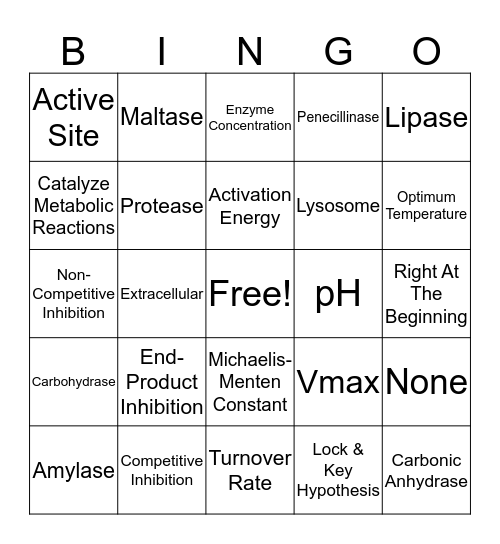 Biology Bingo Chapter 3 Bingo Card