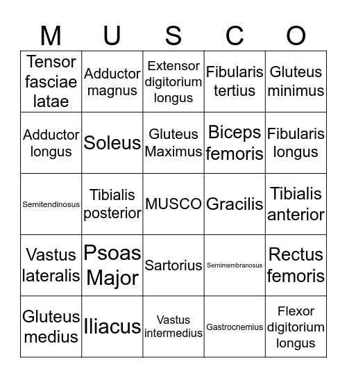Muscle List #3 Bingo Card