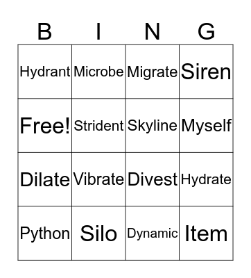 /i/, or y Bingo Card