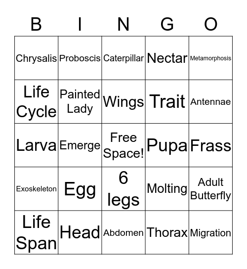 Life Cycle of a Butterfly Bingo Card