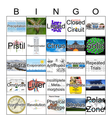 5th Grade SSA Review Bingo Card