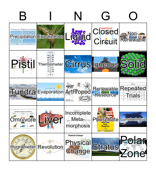 5th Grade SSA Review Bingo Card