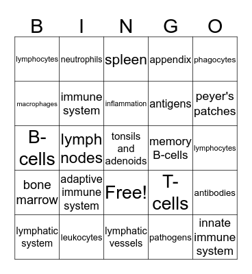 Immune System  Bingo Card