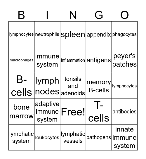 Immune System  Bingo Card
