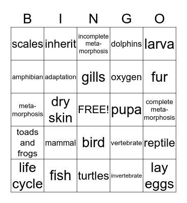 Animal BINGO Card