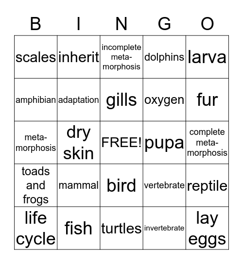 Animal BINGO Card