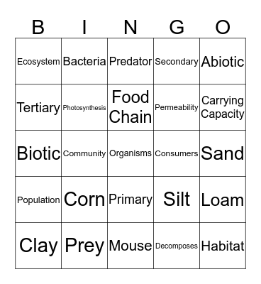 Ecosystem SAYLOR Bingo Card
