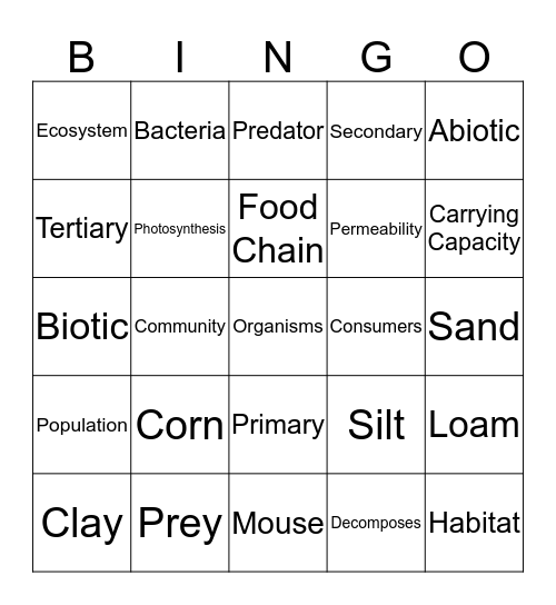 Ecosystem SAYLOR Bingo Card
