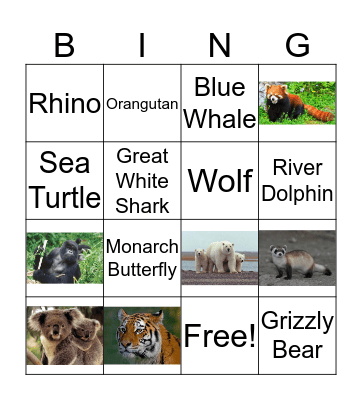 Endangered Animals  Bingo Card
