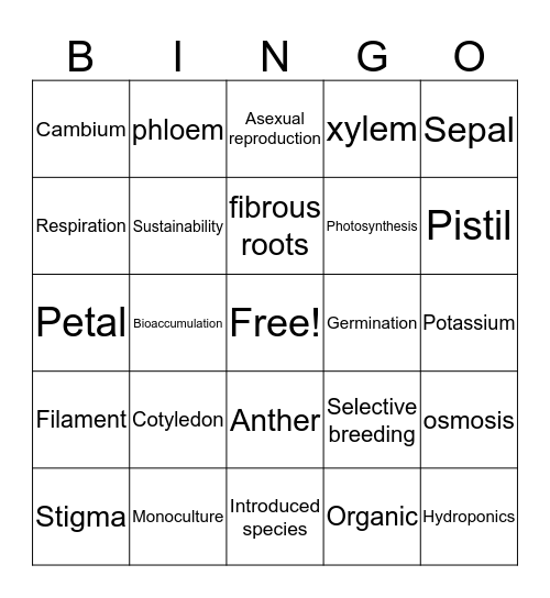 Plants for Food and Fibre Bingo Card