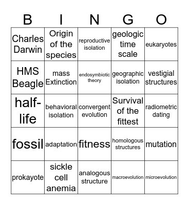 Evolution Bingo Card