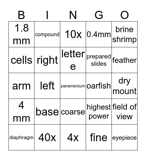 Microscope Test Review Bingo Card