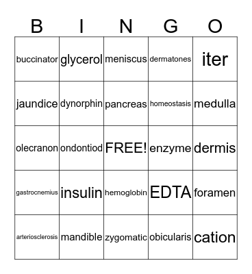 Medical Explorers Bingo Card