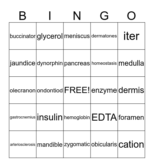 Medical Explorers Bingo Card