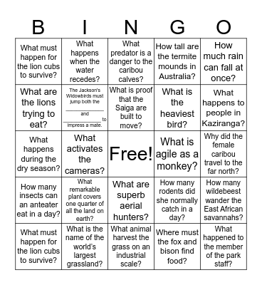 Planet Earth: Grasslands Bingo Card