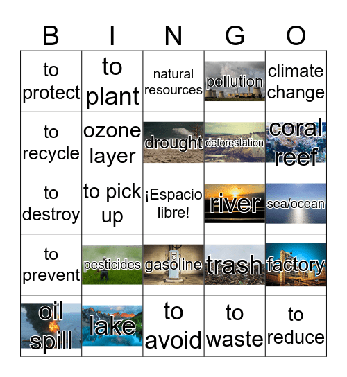 Bingo del medio ambiente Bingo Card