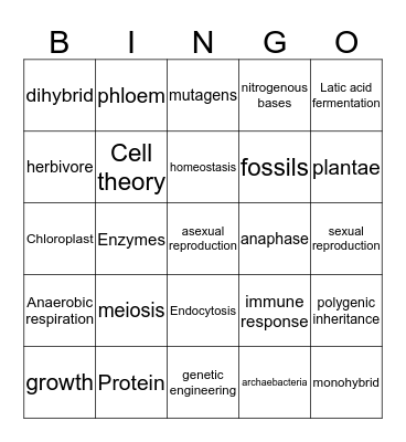Biology EOC Review Bingo Card