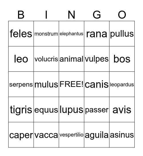 Latin Animals Bingo Card