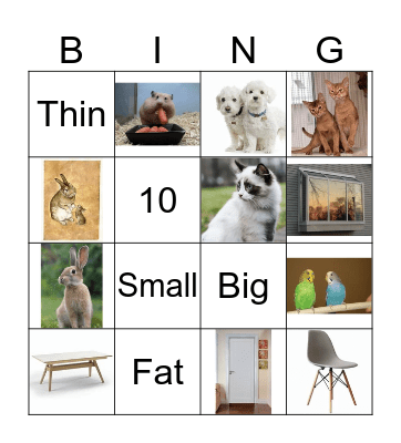 Pets and Home Bingo Card