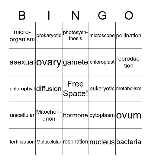 CELL Bingo Card
