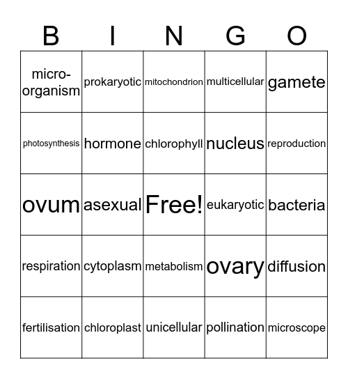 CELL Bingo Card