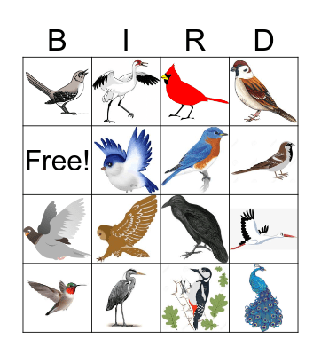 Kris' Birthday Bingo Card