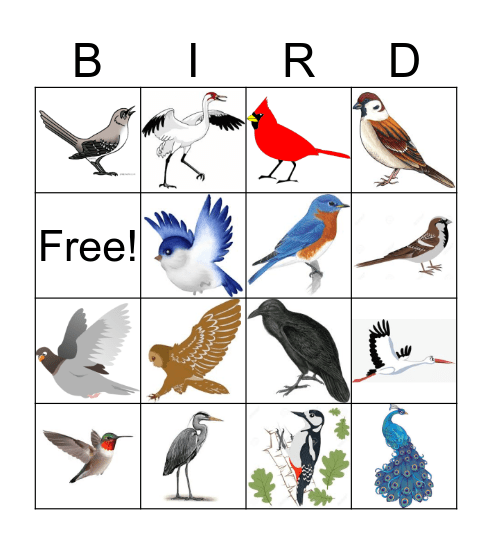 Kris' Birthday Bingo Card