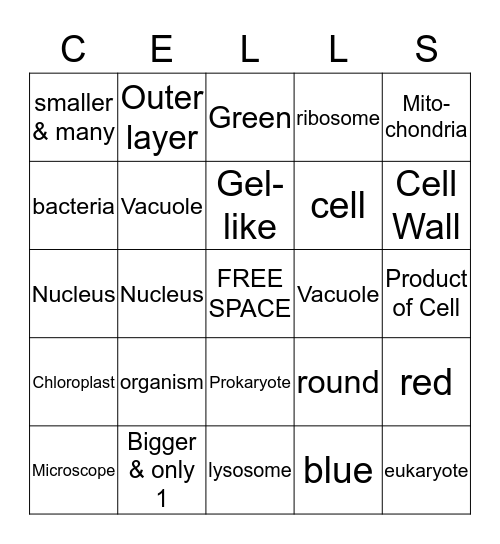 Organelles Bingo Card