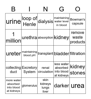 BIOLOGY EXCRETORY SYSTEM Bingo Card