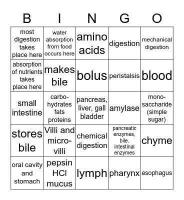BIOLOGY DIGESTIVE SYSTEM Bingo Card