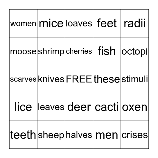 Irregular Plurals 2 Bingo Card