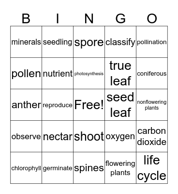 Plants  Bingo Card