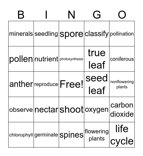 Plants  Bingo Card