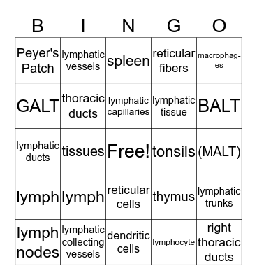 Lymphatic Bingo Card
