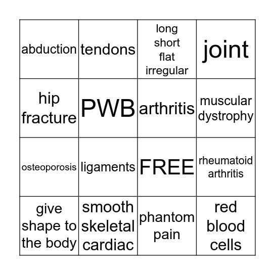 MUSCULOSKELETAL SYSTEM Bingo Card